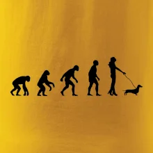 Jazvečík Evolúcia žena Jazvečík Evolúcia žena