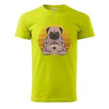 Yoga meditace - pug