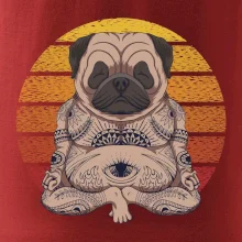 Yoga meditace - pug