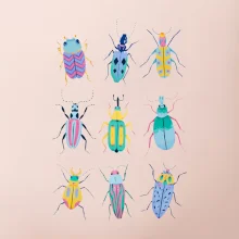 Farebné chrobáky (studio-arte.cz)