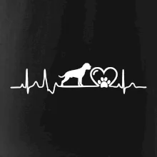 Nemecký boxer EKG Nemecký boxer EKG
