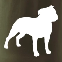 Americký stafordšírsky teriér Na prsníku