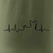 Yorkshirský teriér EKG