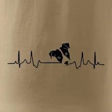 Jack Russell Terriér Ekg Jack Russell Terriér Ekg