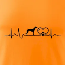 Chrt - Ekg Chrt - Ekg