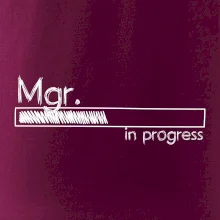 In progress titul Mgr. magister / magistra