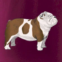 Vintage English bulldog