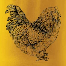 Sliepka čiernobiela Sliepka čiernobiela