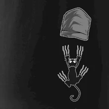 Mačka vypadla z vrecka