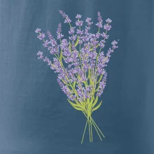 Levanduľa kreslená