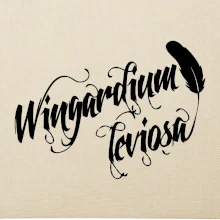 Harry - Wingardium Leviosa