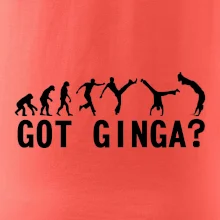 Capoeira - Got Ginga