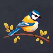 Sýkorka modrinka kreslená