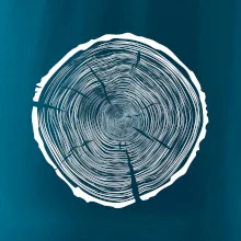 Letokruhy 95 bez veku Letokruhy 95 bez veku