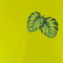 Monstera listy na prsu