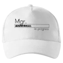 In progress titul Mgr. magister / magistra