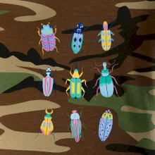 Farebné chrobáky (studio-arte.cz)