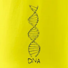 Cyklistovo DNA