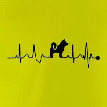 Shiba-Inu EKG Shiba-Inu EKG