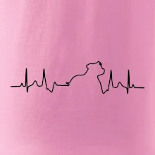 Stafordšírsky bulteriér ‎ EKG