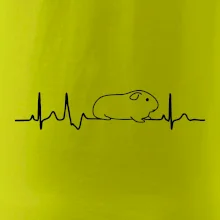 EKG morča EKG morča