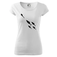 Potápač žraloky Potápač žraloky