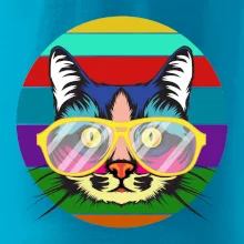 Mačka pri farebnom západe