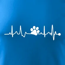 Ekg psia labka Ekg psia labka