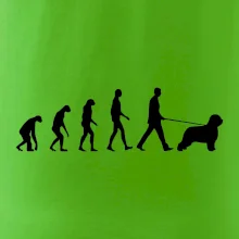 Evolúcia pes Briard