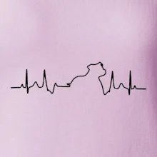 Stafordšírsky bulteriér ‎ EKG