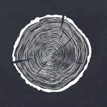 Letokruhy 55 bez veku