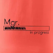 In progress titul Mgr. magister / magistra