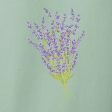 Levanduľa kreslená