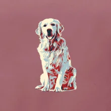 Zlatý retriever vintage