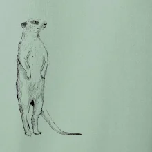 Surikata čierna kresba