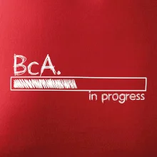 In progress titul BcA. bakalár / bakalárka umenia