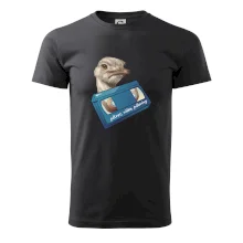 Pštrosi vídea Pštrosi vídea