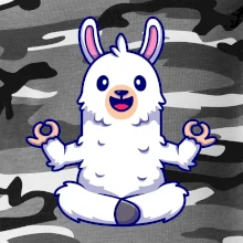 Yoga meditácie - lama