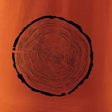 Letokruhy 60 bez veku