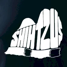 Shih-tzu - nápis v tele