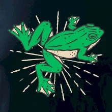 Žaba zelená kreslená