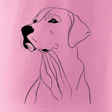 Labrador čierna kresba