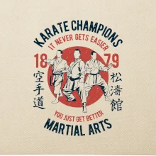 Karate Champions