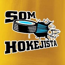 Som hokejista