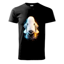 Obrázok poltón bedlingtonský teriér