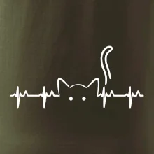 Mačka EKG