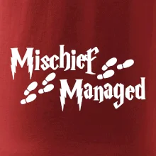 Harry - Mischief Managed