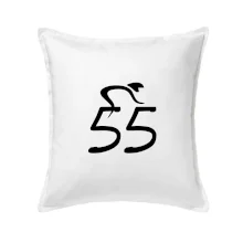 Cyklista oslavuje päťdesiatpäťku (55)