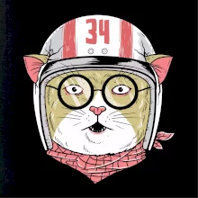 Moto mačka Moto mačka