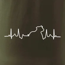 Stafordšírsky bulteriér ‎ EKG